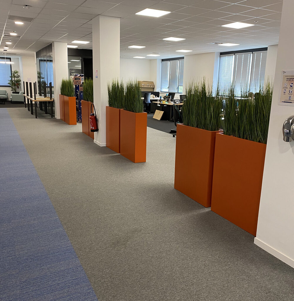 Comment végétaliser des bureaux ?