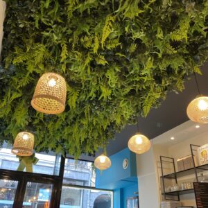 plafond végétal dans un café