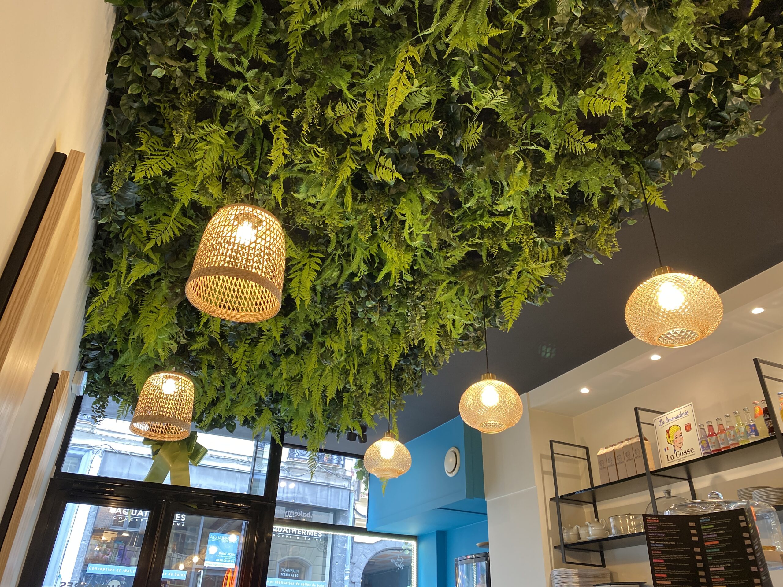plafond végétal dans un café