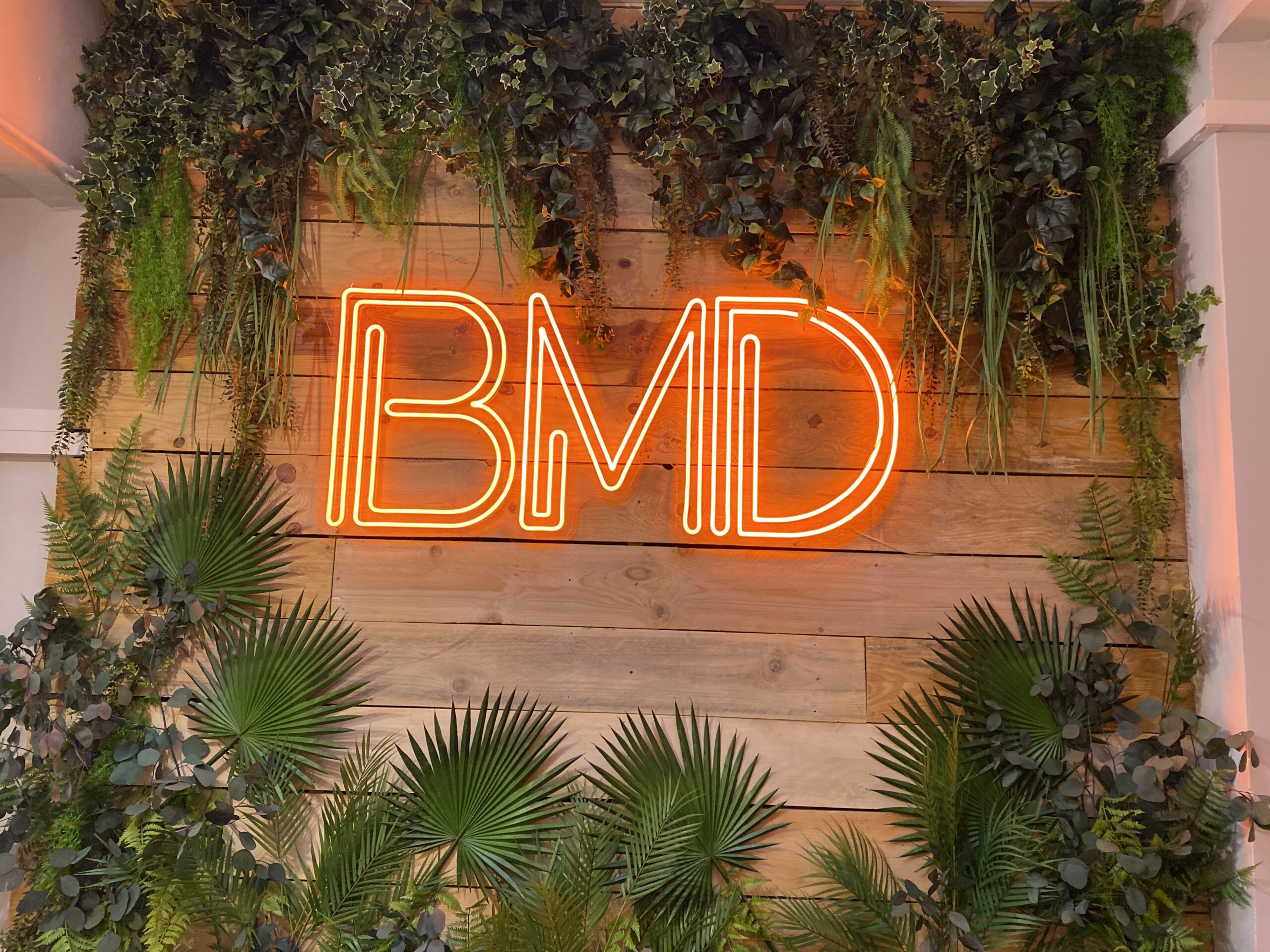 Logo végétal BMD en néon orange sur fond de bois avec végétaux autour