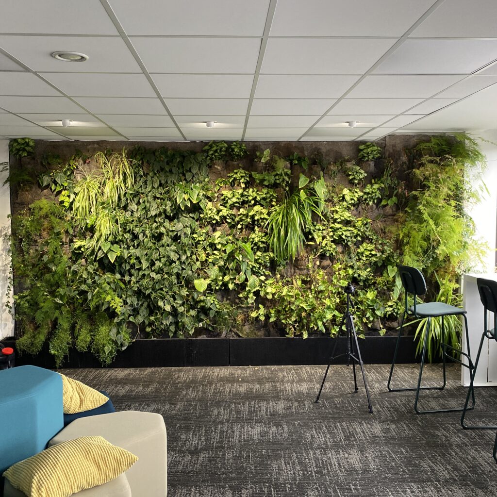 un des murs végétaux proposés par Respinov