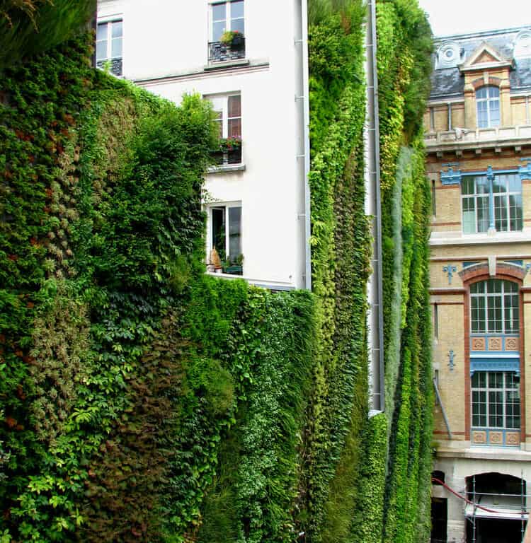 Le mur végétal de Rue d’Alsace