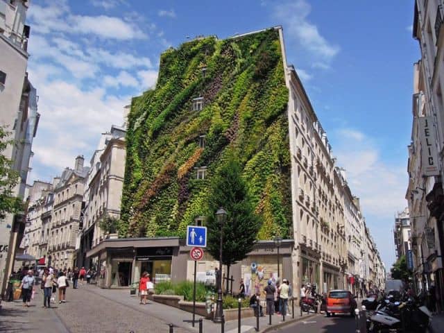 L’oasis d’aboukir