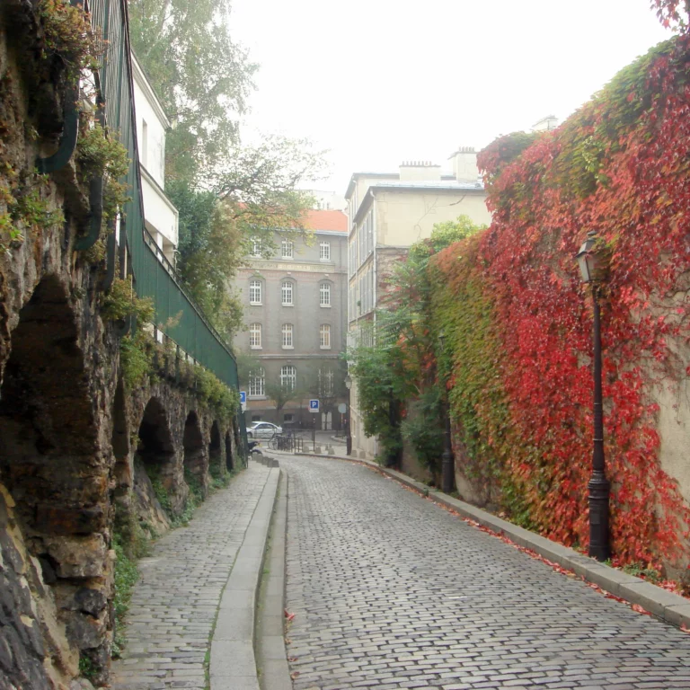 Mur végétal rue St Vincent