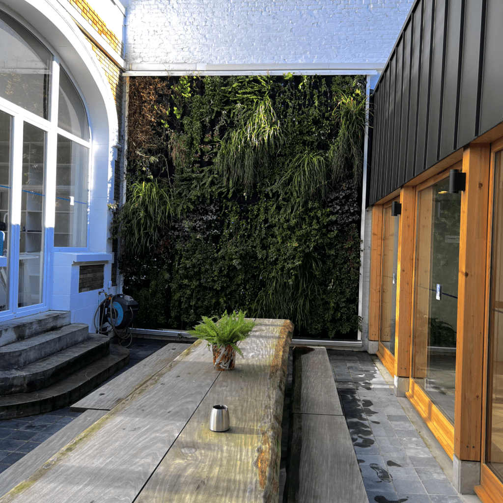 mur végétal extérieur