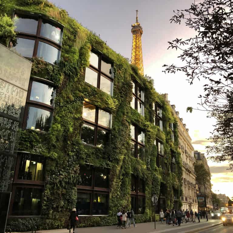 Mur végétal du quai Branly