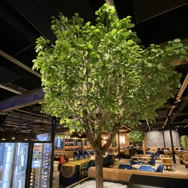 arbre pour intérieur au premier plan