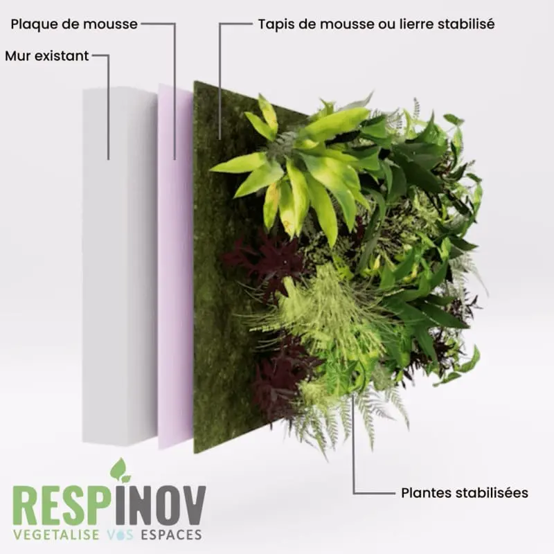 vue en 3D éclatée de la conception mur végétal stabilisé avec le logo de Respinov en bas à gauche