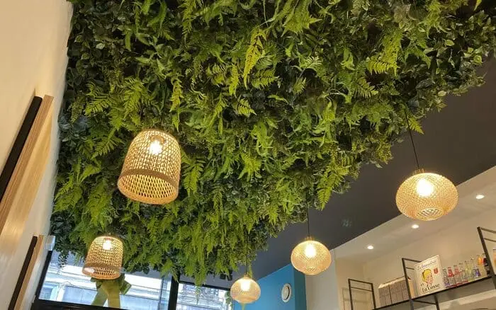 Joli plafond végétal complet chez bake my day
