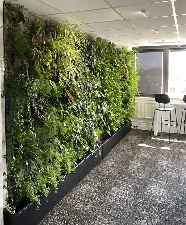 Mur végétal intérieur salle de repas
