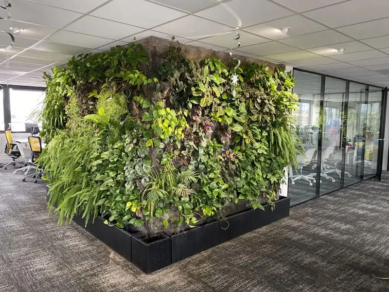 beau mur végétal au bureau dans un open space