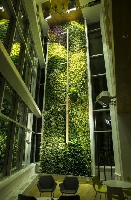 jardin vertical interrieur le plus haut du monde