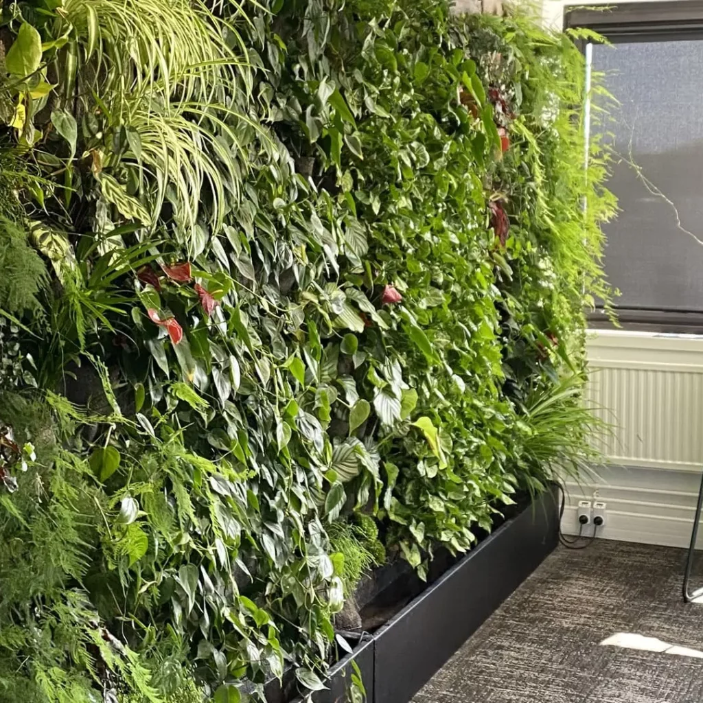 Beau mur végétal intérieur dans un open space vue de côté