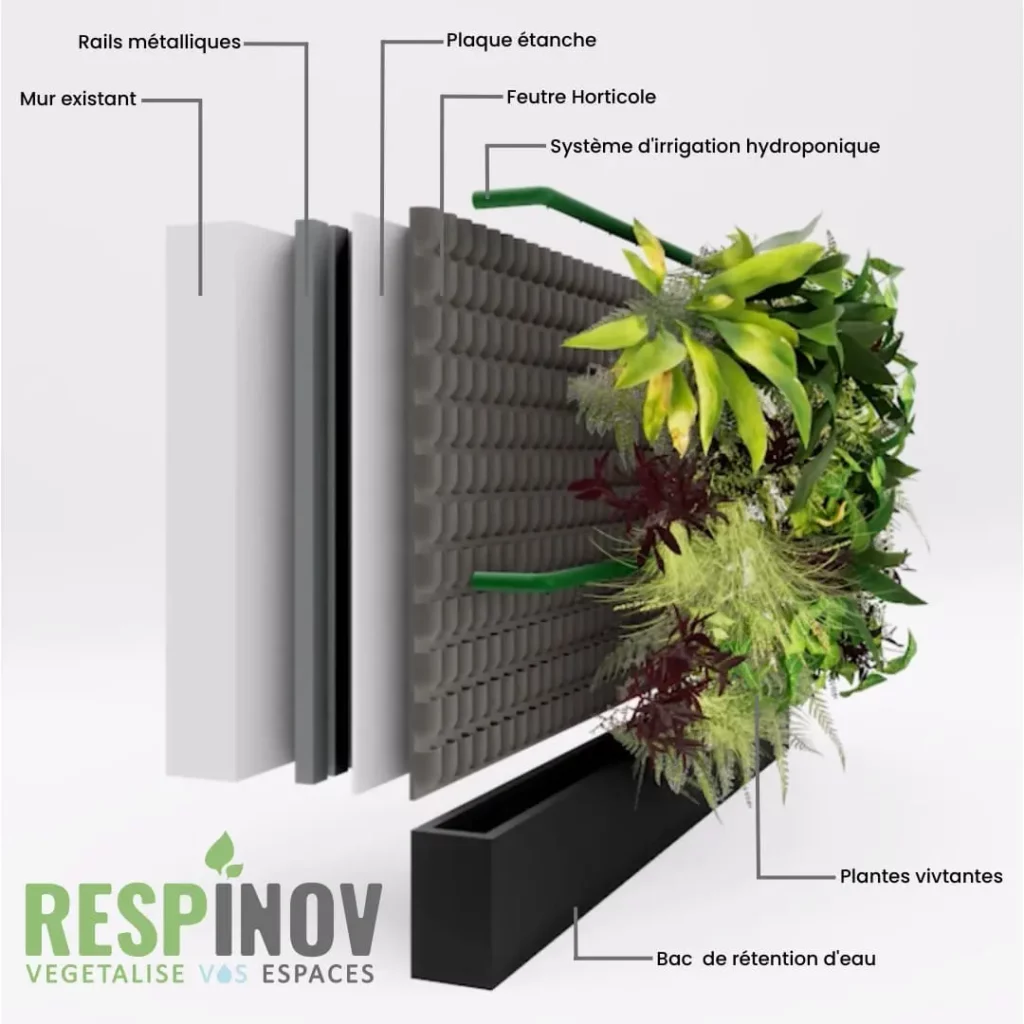 une image de simulation 3d de mur végétal naturel fait par Respinov