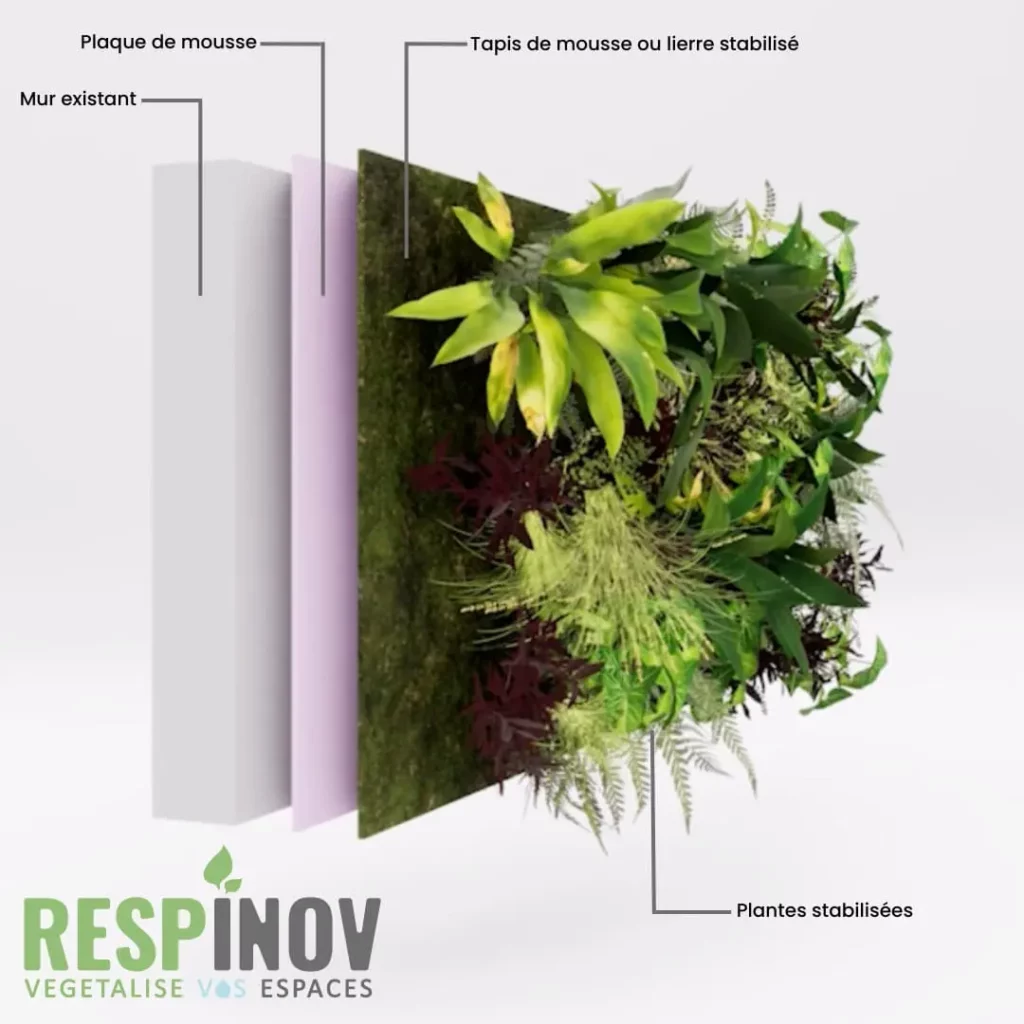 une image de simulation 3d de mur végétal stabilisé fait par Respinov