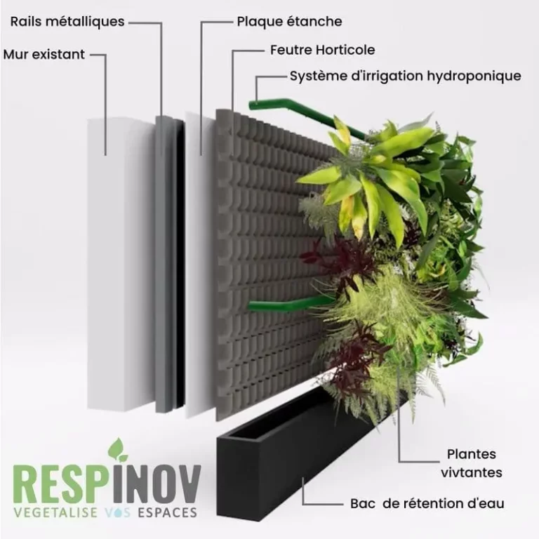 vue de coupe en 3d de la fabrication d'un mur végétal naturel avec le logo Respinov en bas à gauche