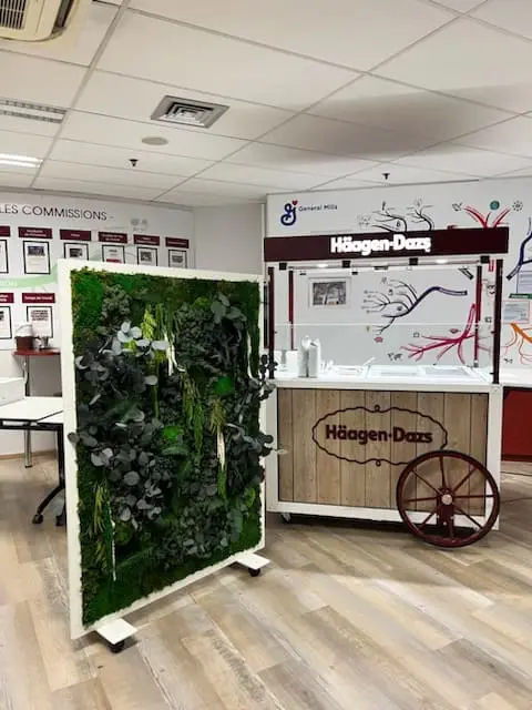 une cloison végétale mobile à côté d'un comptoir de glace chez Häagen-Dazs