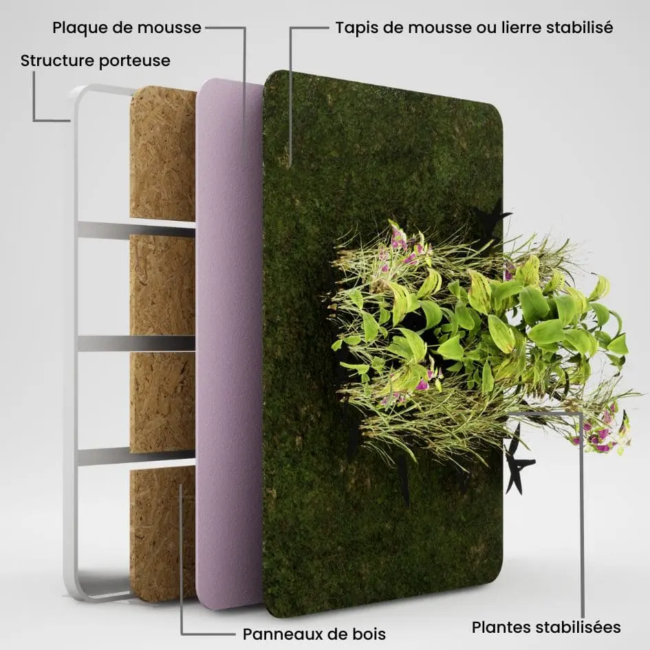 schéma en 3d éclatée d'une cloison végétale avec au premier plan les plantes, deuxième plan le tapis de mousse ou de lierre , troisième plan la plaque de mousse et enfin le bois et la structure métallique