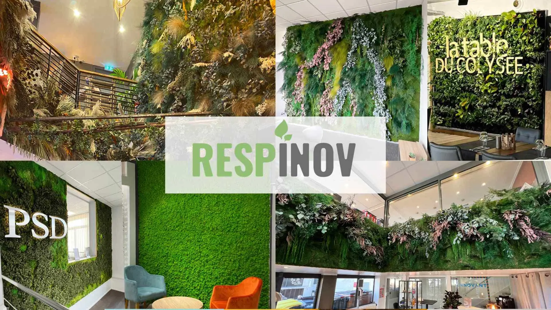 Pachtwork de photos mur végétal créer par Respinov avec plusieurs photos de murs végétaux différents dans plusieurs situations