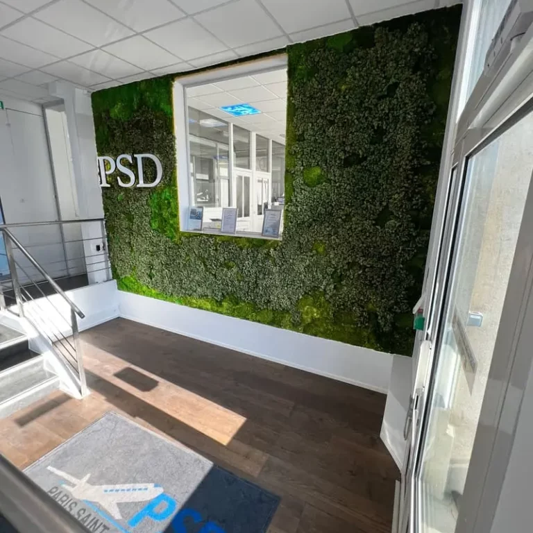 Mur végétal en mousse dans le hall d'entrée chez PSD