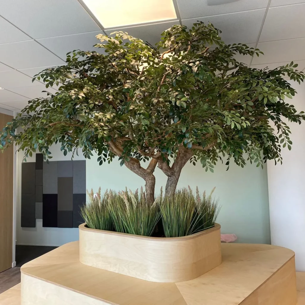 photo d'un arbre semi naturel en intérieur sur un socle de bois