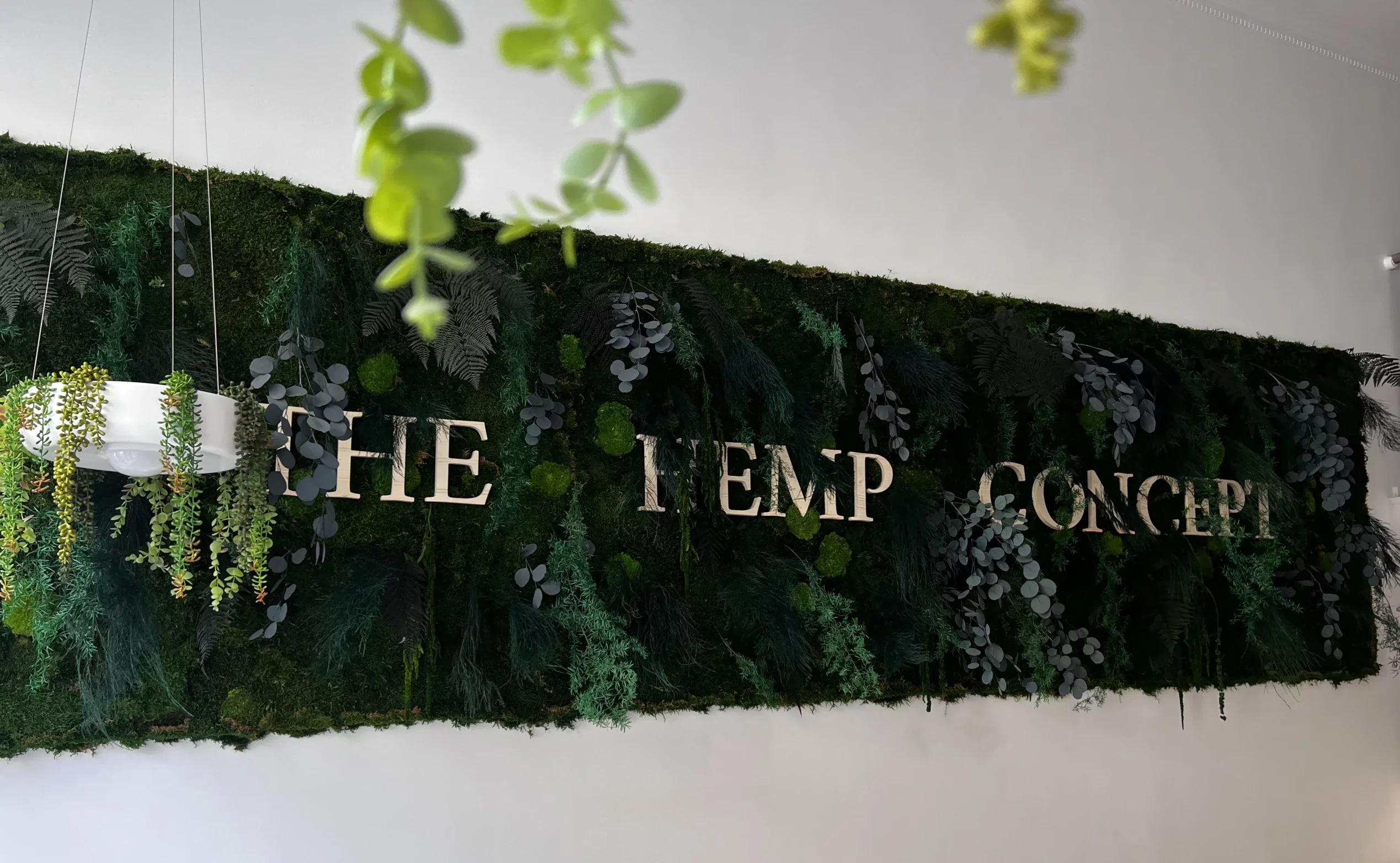 Logo d'entreprise en bois sur un mur végétal pour donner l'impression d'un jardin d'intérieur