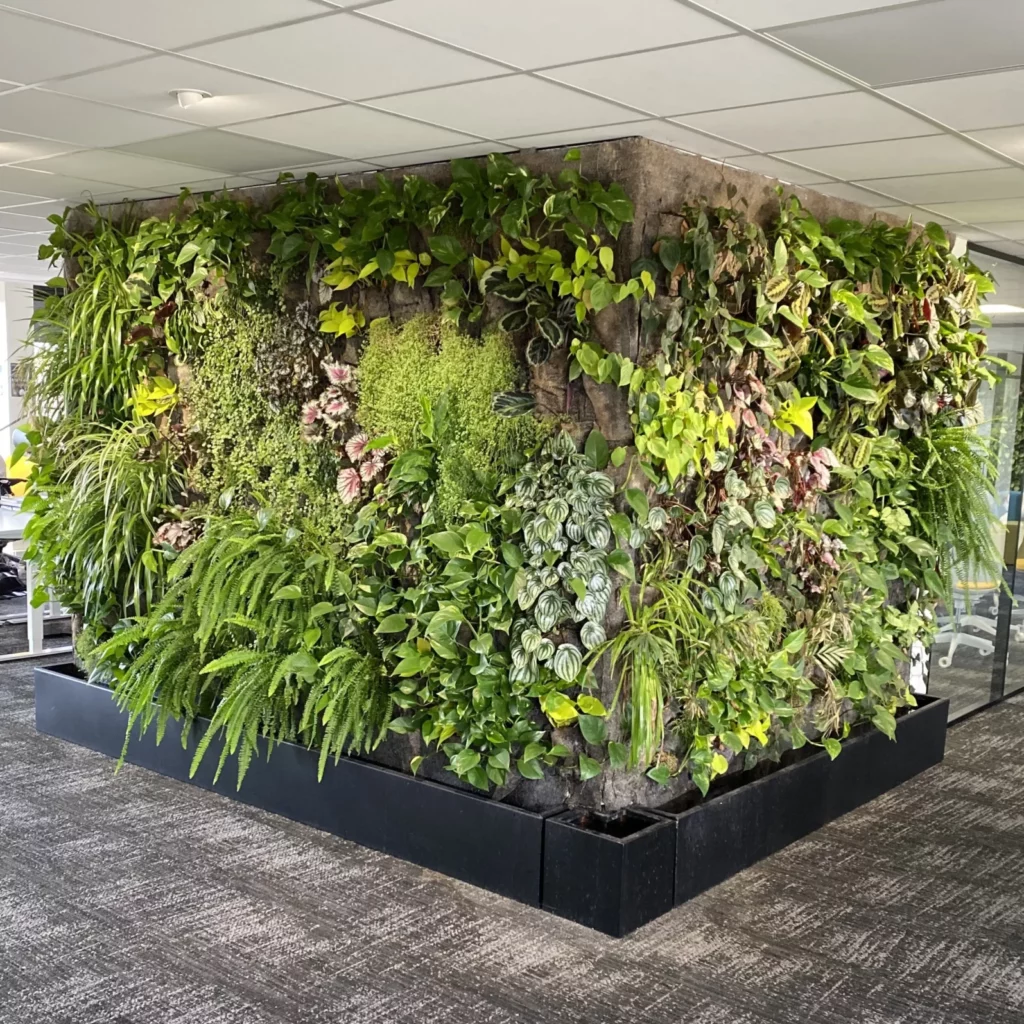 Exemple de réalisation : le mur végétal en plein milieu d'un open space, donne lieu à un jardin d'intérieur