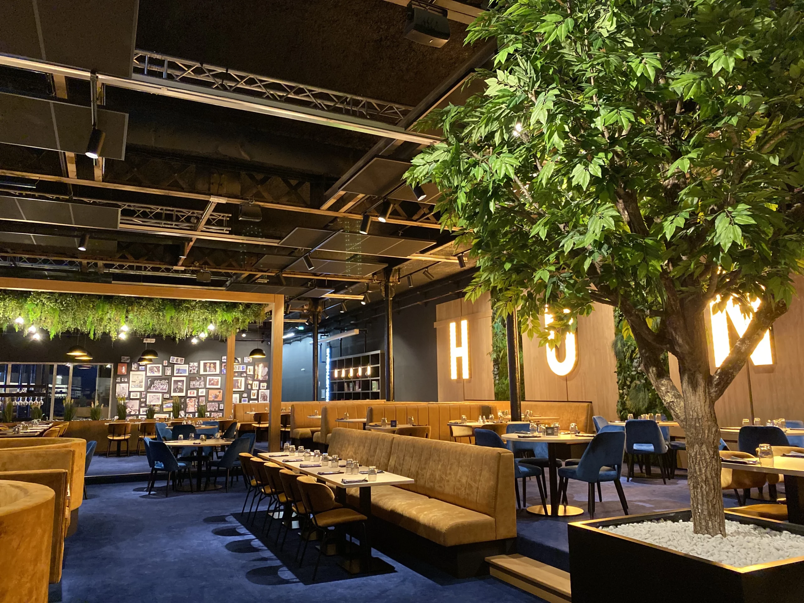 Exemple d'arbre d'intérieur dans un restaurant avec l'arbre dans un pot noir carré au milieu de tables et banquettes marrons, avec le logo jaune en néon et la moquette bleue. Décoration très chaleureuse.