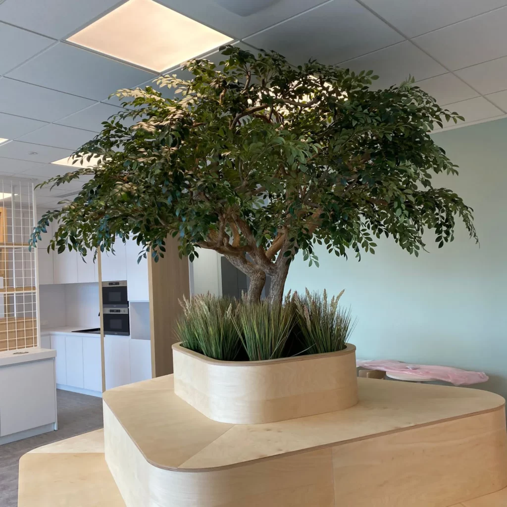 5 infos sur l’arbre d’intérieur