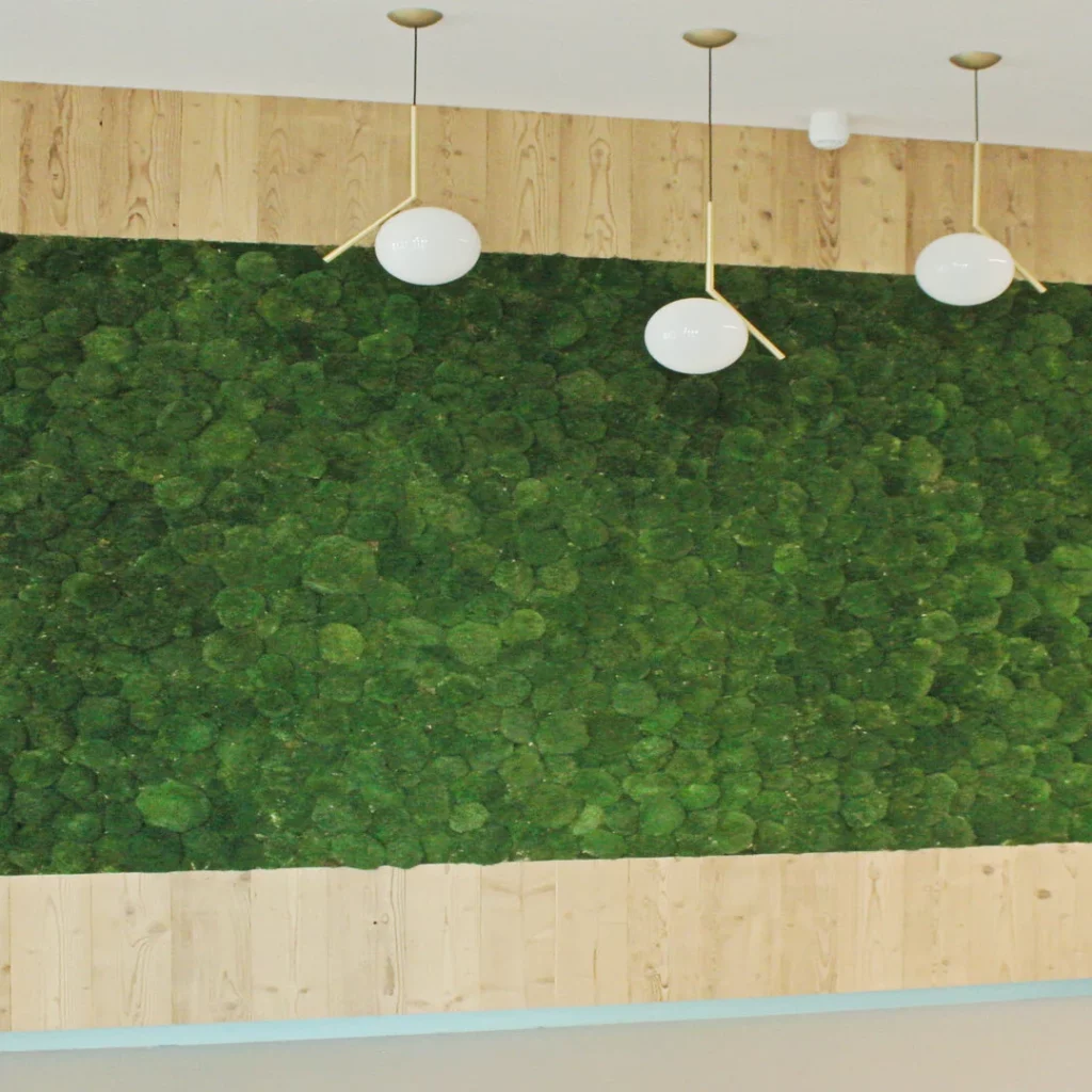 Exemple d'un troisième mur végétal sur-mesure chez Bombora en mousse boule, à l'horizontale, posé sur du bois.