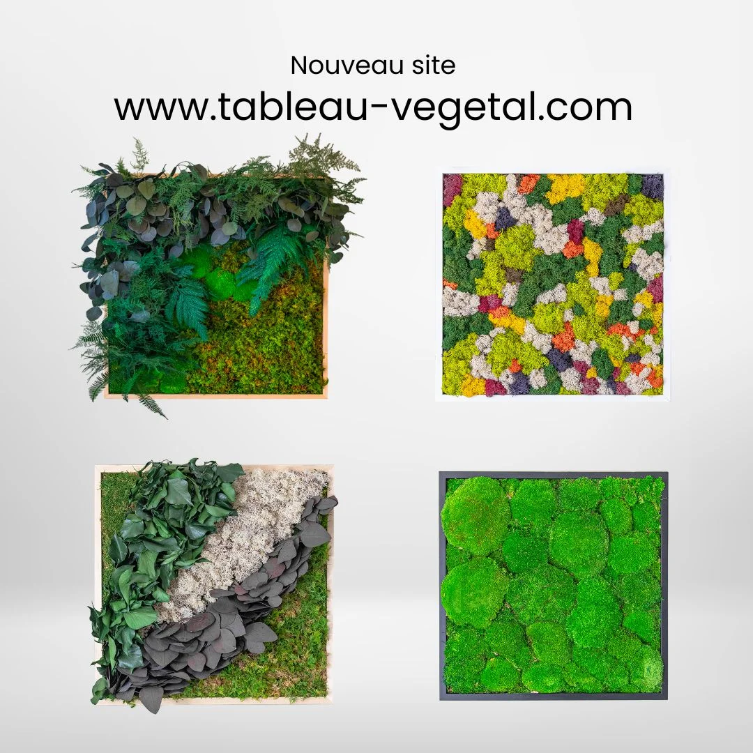 Image de cadres et tableaux végétaux réalisés par respinov