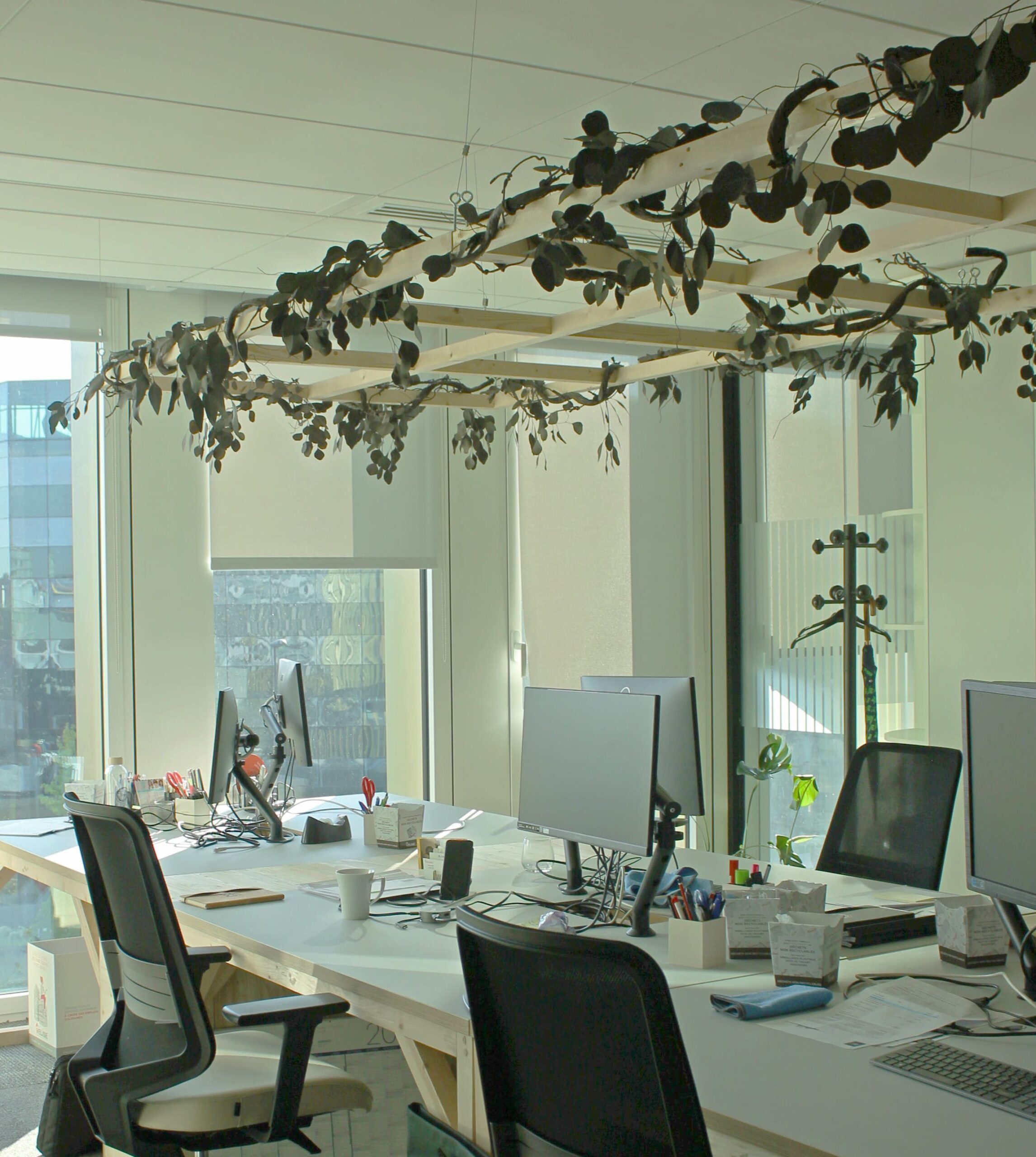 Photographie d'un environnement de travail plaisant : open space avec des ordinateurs et des plantes artificielles sur des claustras pour décorer