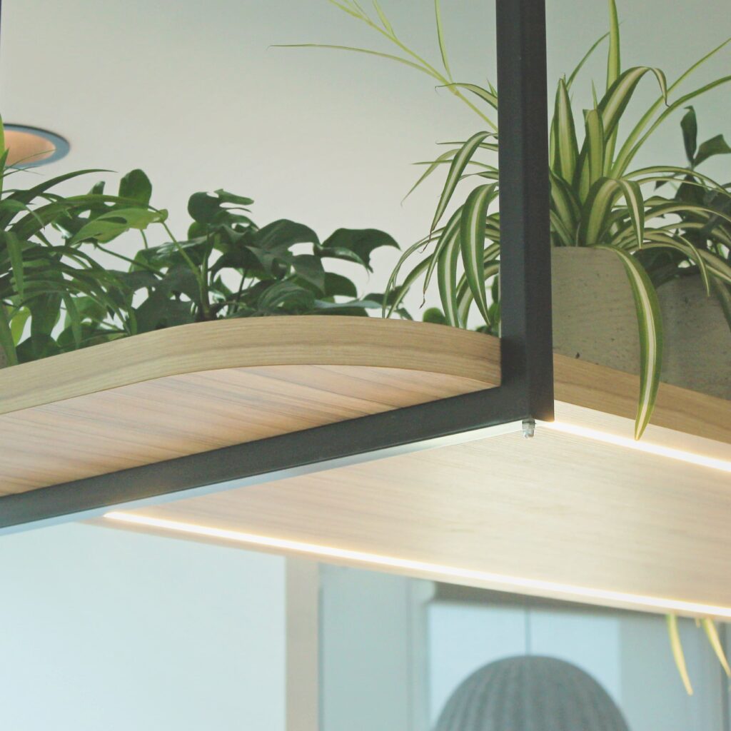 Plantes d'intérieur luxuriantes en pots suspendues au plafond sur une planche en bois dans une cafétéria