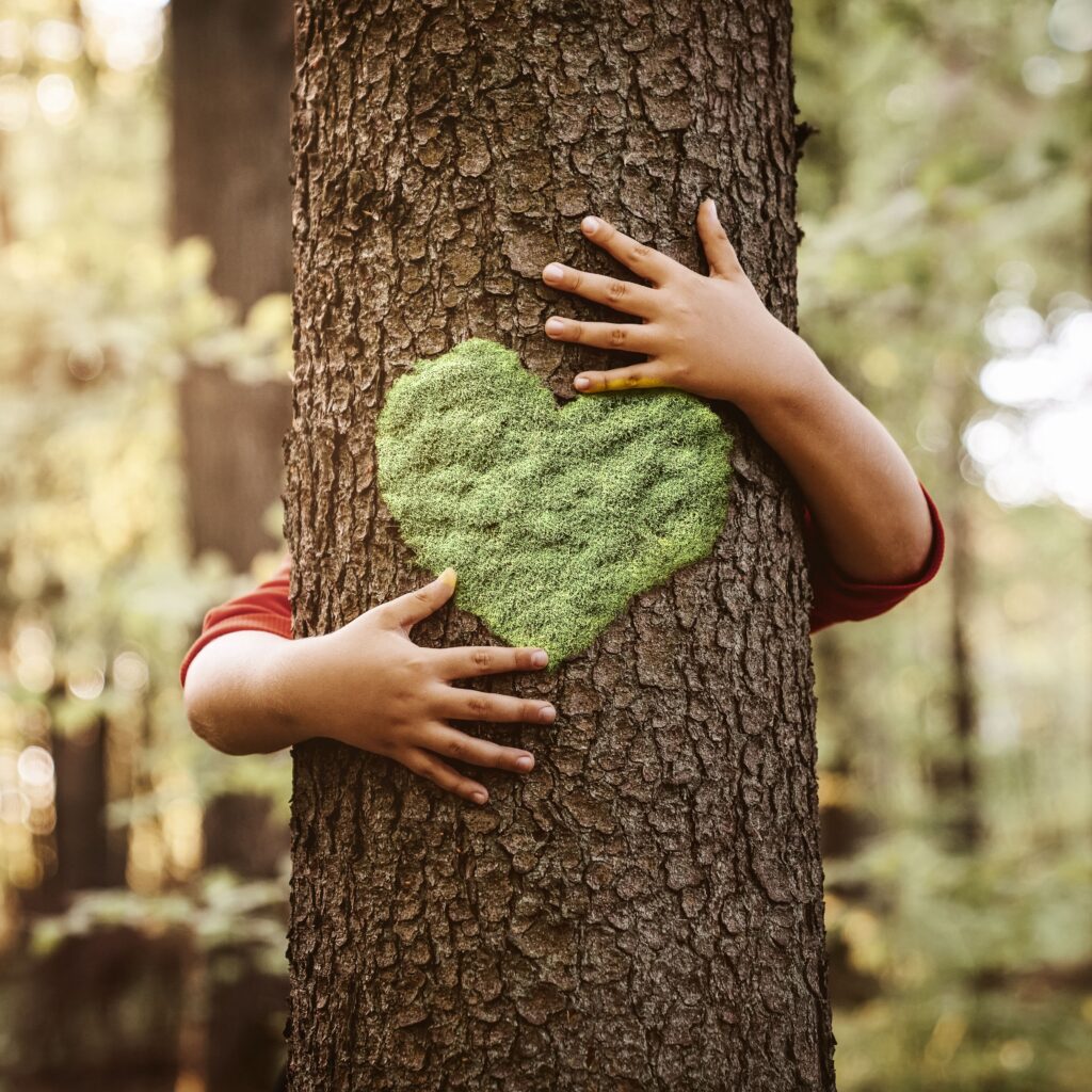 Coeur sur un arbre avec des mains d'enfant qui l'entourent, pour symboliser l'amour du végétal et de la biodiversité
