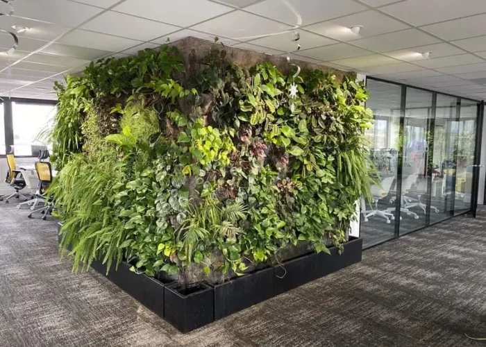 beau mur végétal au bureau dans un open space
