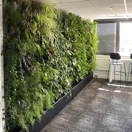 Mur végétal intérieur salle de repas