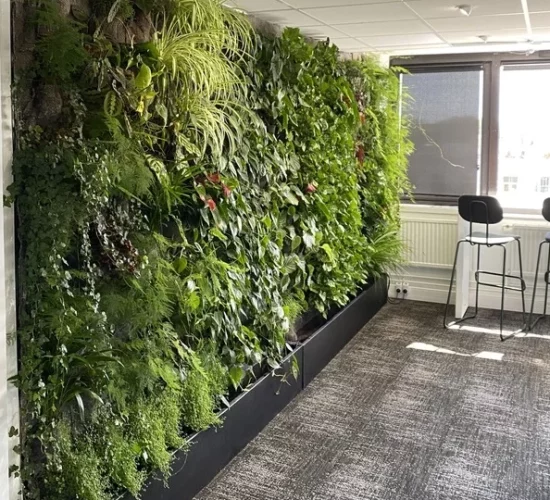 Mur végétal intérieur salle de repas